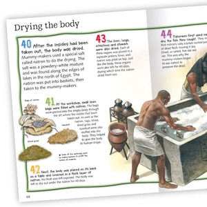 100 facts mummies - Ảnh 4