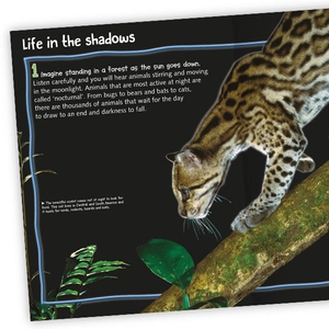 100 facts nocturnal animals - Ảnh 3