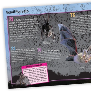 100 facts nocturnal animals - Ảnh 4