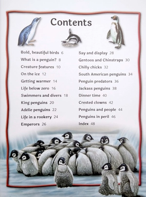 100 facts penguins - Ảnh 3