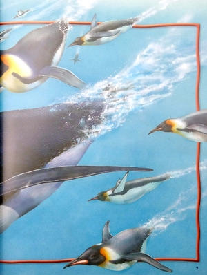 100 facts penguins - Ảnh 5