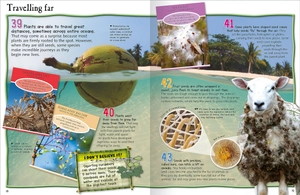 100 facts plant life - Ảnh 3