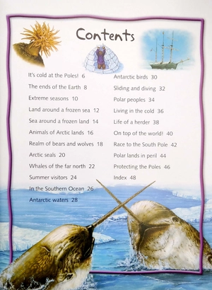 100 facts polar lands - Ảnh 3