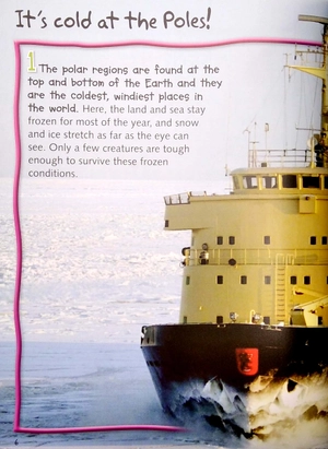 100 facts polar lands - Ảnh 4