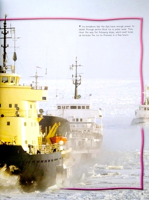 100 facts polar lands - Ảnh 5