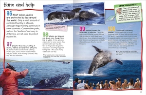 100 facts whales and dolphins - Ảnh 4
