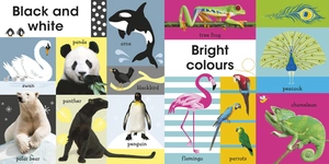 100 first animals - Ảnh 3