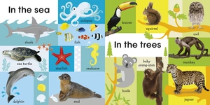 100 first animals - Ảnh 4