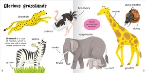 100+ first words - animals - Ảnh 3