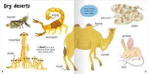 100+ first words - animals - Ảnh 4