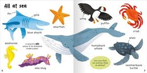 100+ first words - animals - Ảnh 5