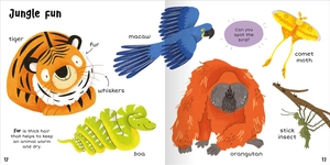 100+ first words - animals - Ảnh 8