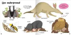 100+ first words - animals - Ảnh 9