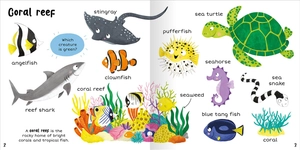 100+ first words - in the sea - Ảnh 3