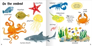 100+ first words - in the sea - Ảnh 4