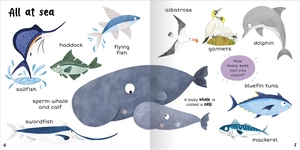 100+ first words - in the sea - Ảnh 5