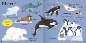 100+ first words - in the sea - Ảnh 6