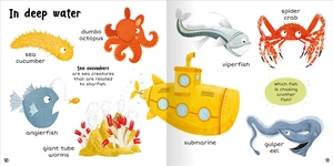 100+ first words - in the sea - Ảnh 7