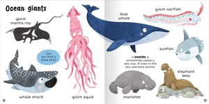 100+ first words - in the sea - Ảnh 8