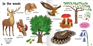 100+ first words - nature - Ảnh 10