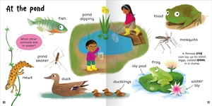 100+ first words - nature - Ảnh 7