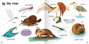 100+ first words - nature - Ảnh 8