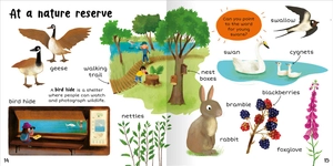 100+ first words - nature - Ảnh 9