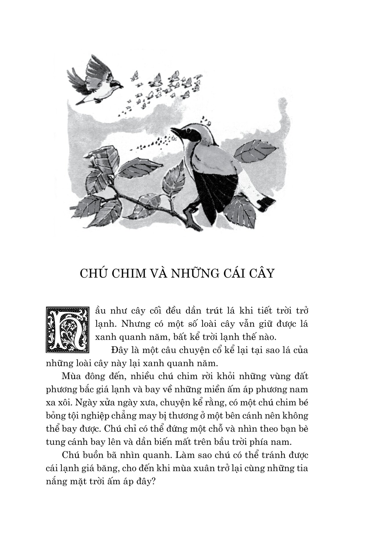 100 Truyện Đặc Sắc Đó Đây (Tái Bản 2026) - Ảnh 8