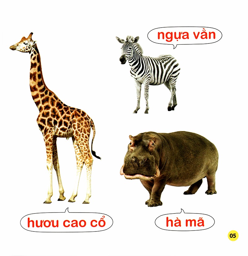 100 từ đầu đời của bé - con vật (tái bản 2023) - Ảnh 5