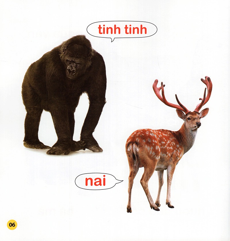 100 từ đầu đời của bé - con vật (tái bản 2023) - Ảnh 6