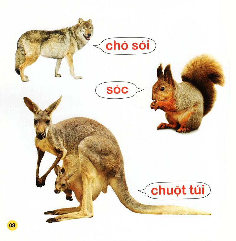 100 từ đầu đời của bé - con vật (tái bản 2023) - Ảnh 8