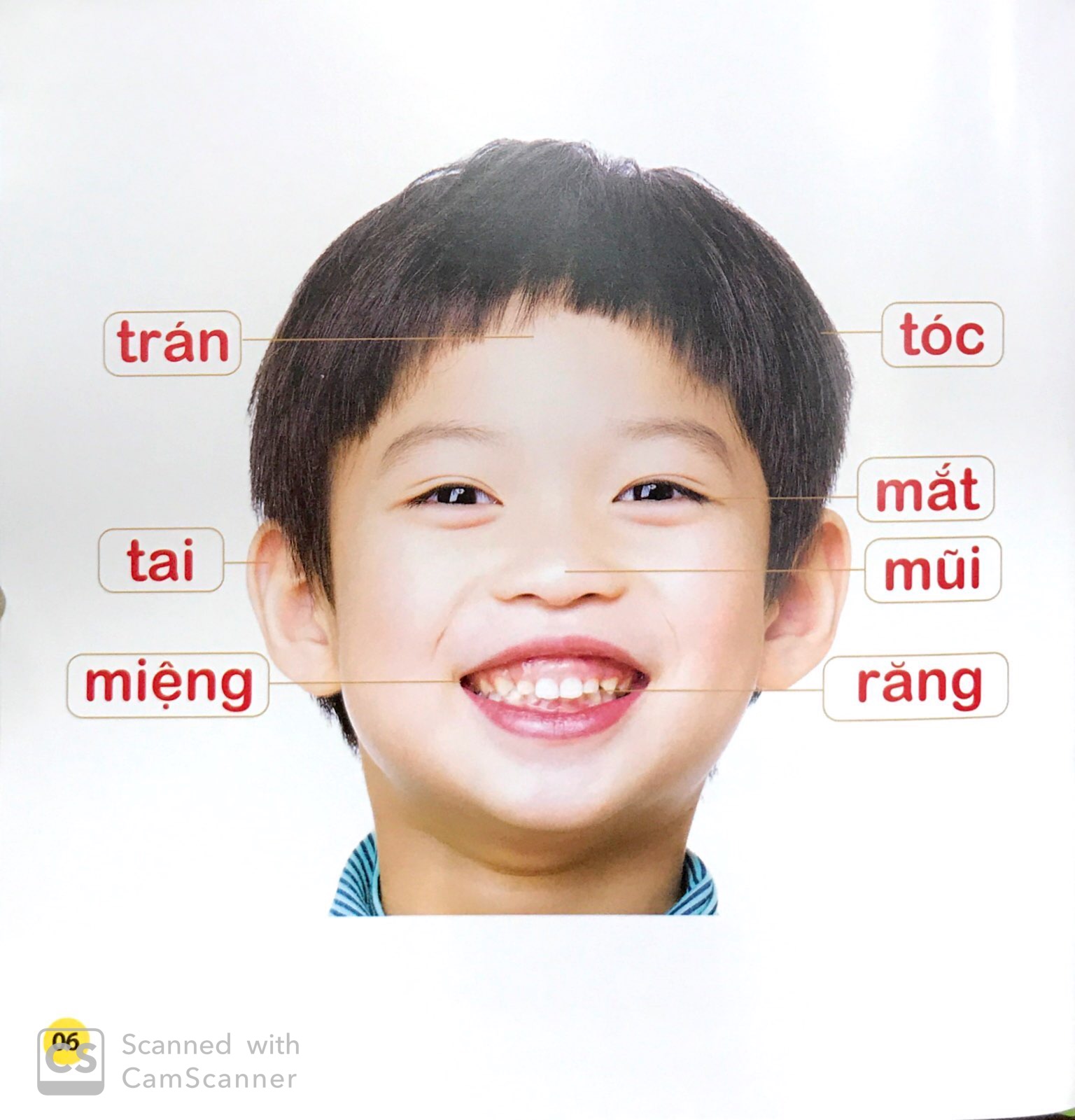 100 từ đầu đời của bé - gia đình yêu thương (tái bản 2023) - Ảnh 2