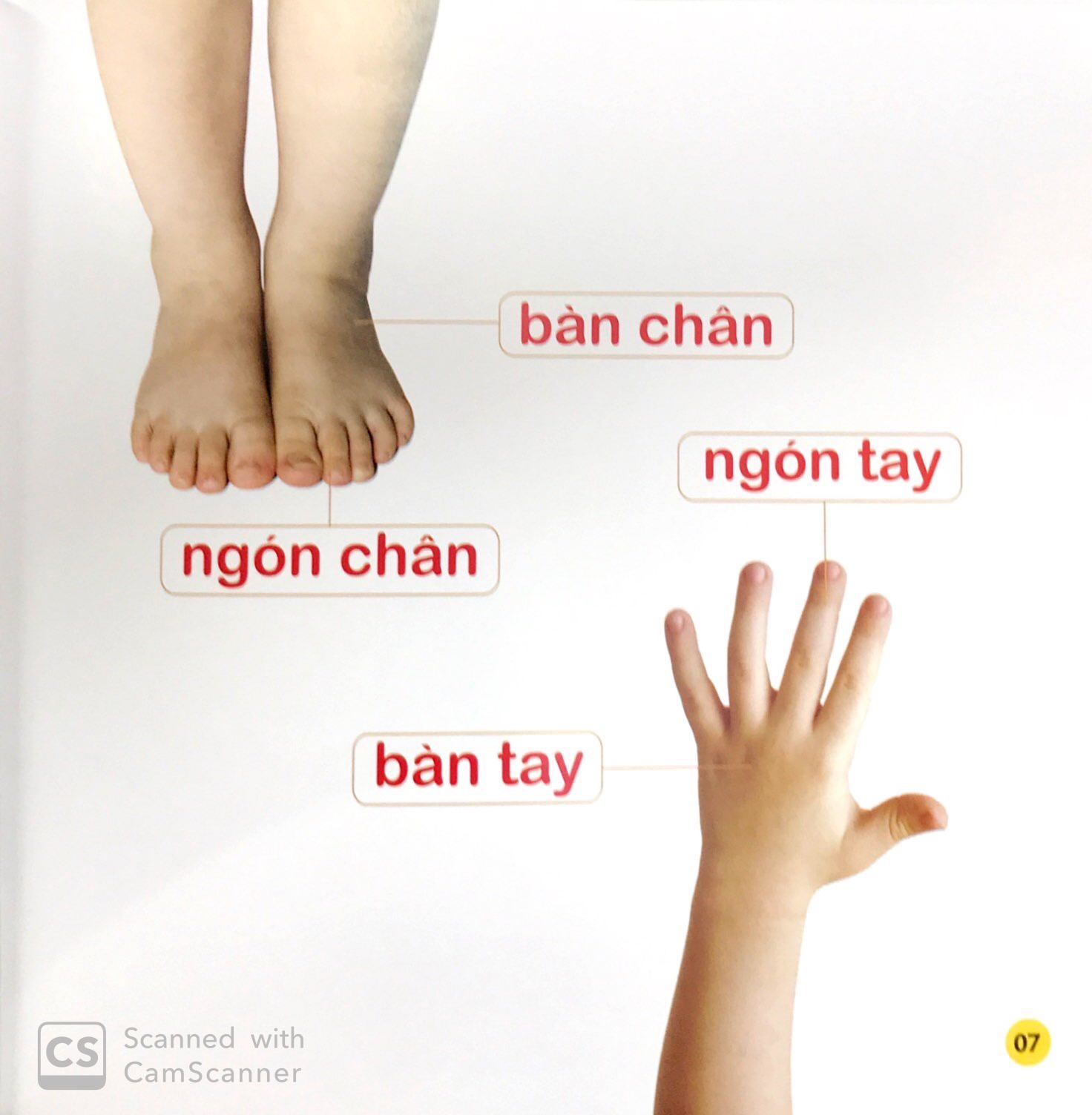 100 từ đầu đời của bé - gia đình yêu thương (tái bản 2023) - Ảnh 3