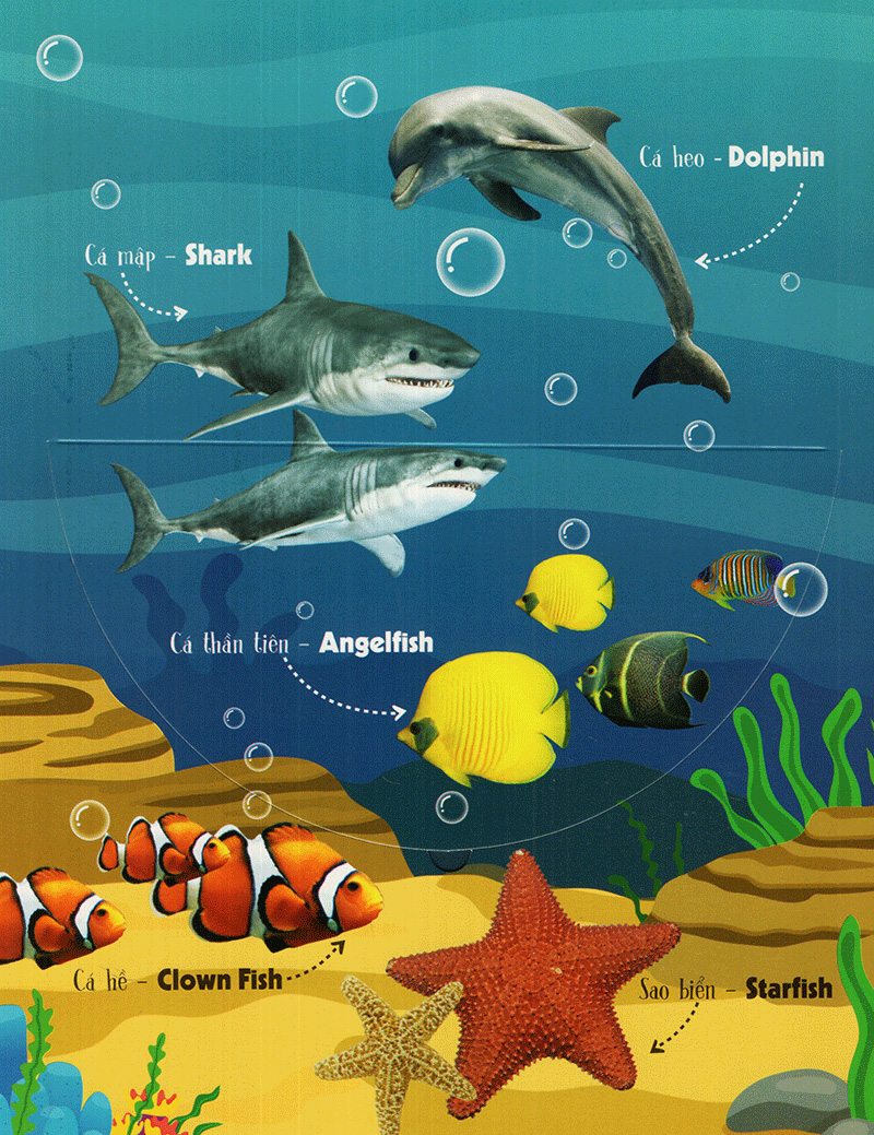 100 từ đầu tiên về các loài động vật - sách lật mở (2018) - Ảnh 11