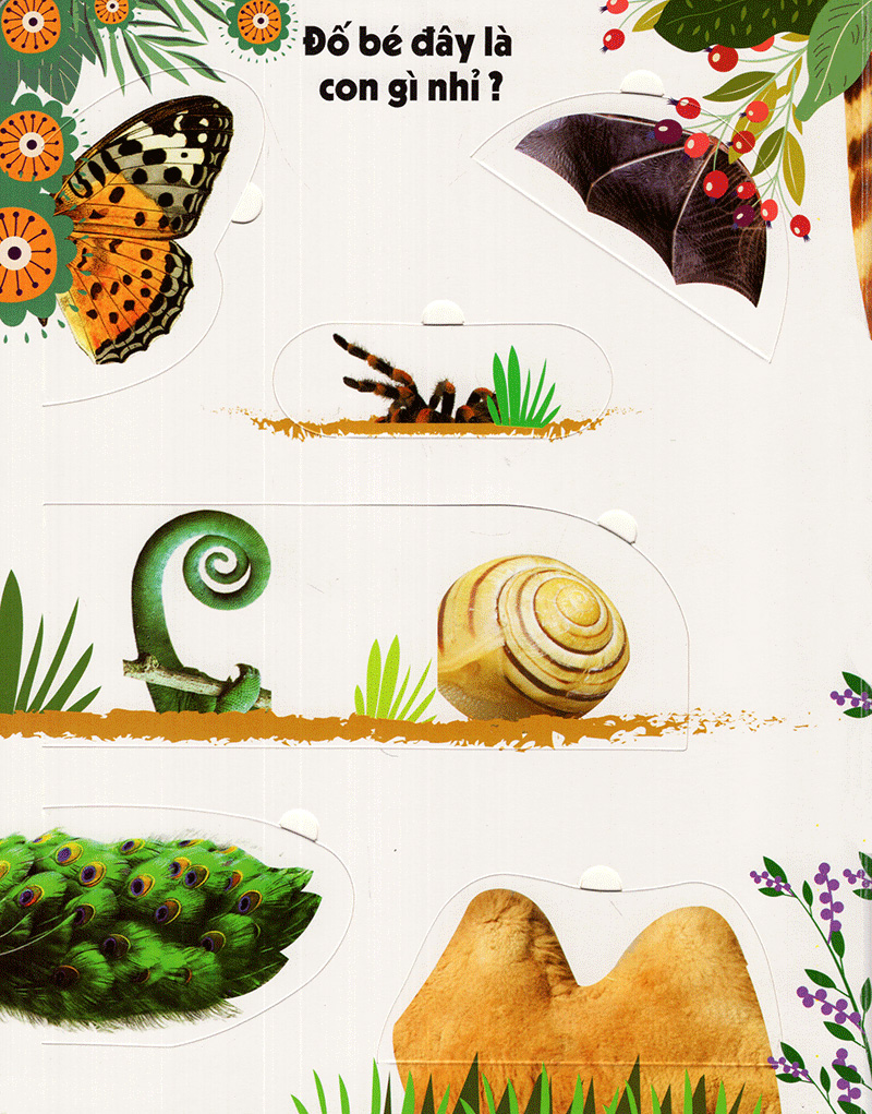 100 từ đầu tiên về các loài động vật - sách lật mở (2018) - Ảnh 6