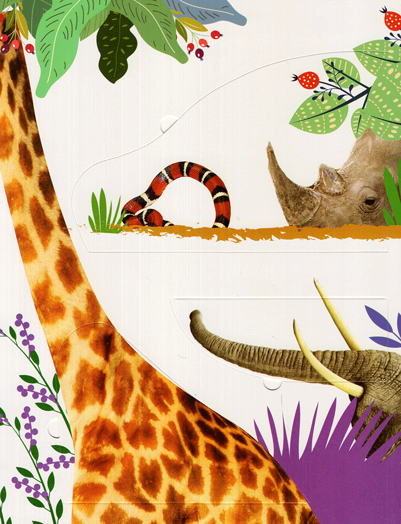 100 từ đầu tiên về các loài động vật - sách lật mở (2018) - Ảnh 7