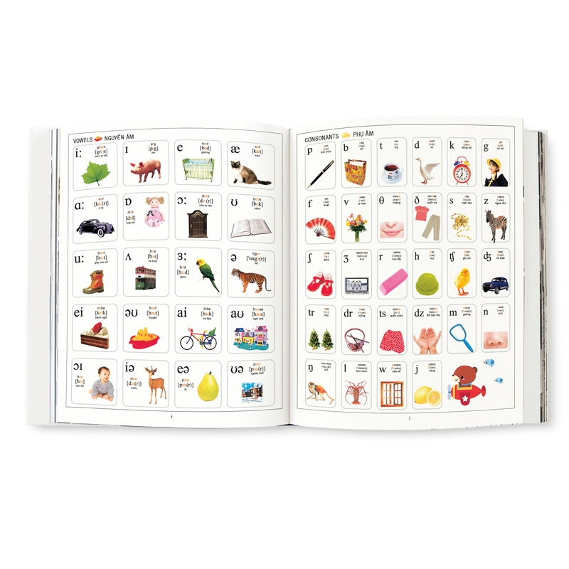 1000 từ tiếng anh đầu tiên - my first 1000 words - Ảnh 4