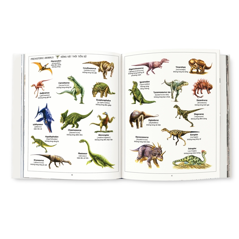 1000 từ tiếng anh đầu tiên - my first 1000 words - Ảnh 5