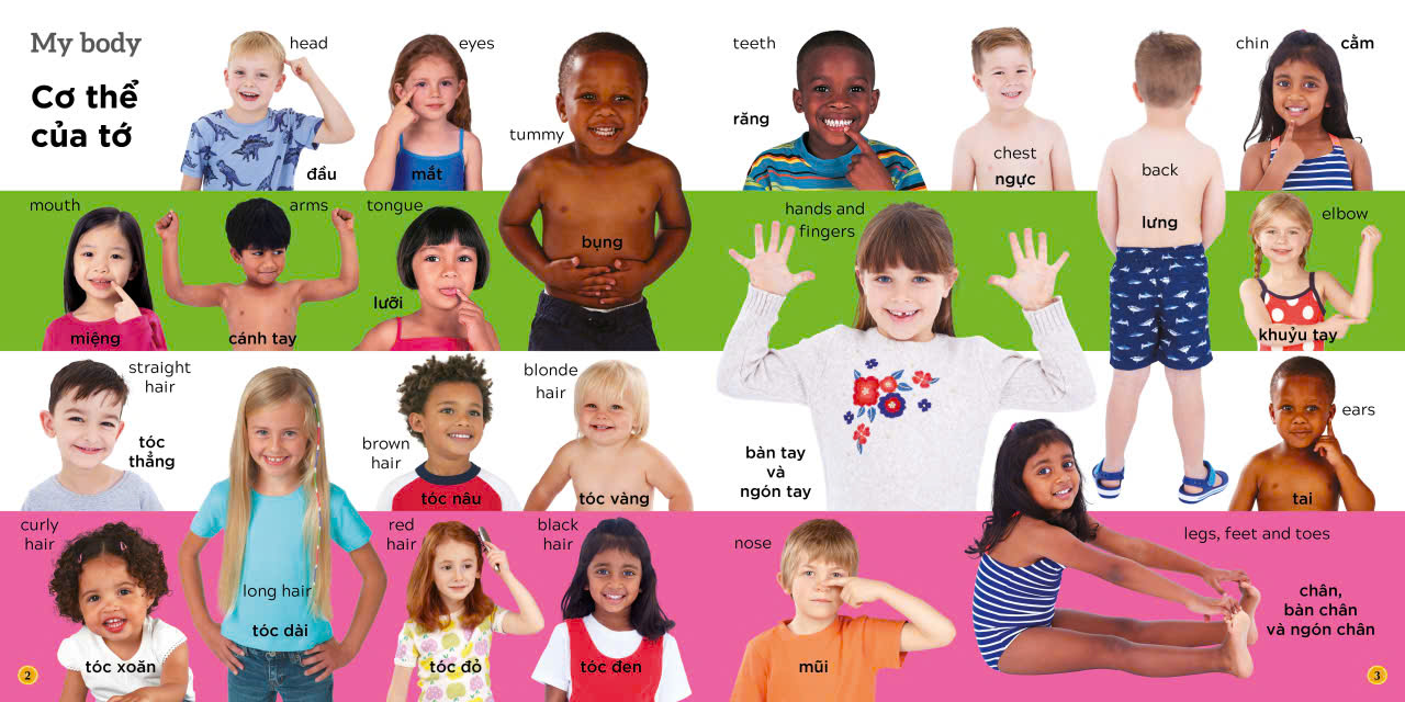 1000 Từ Vựng Tiếng Anh Theo Chủ Đề - Ảnh 3