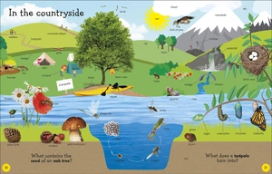 1000 useful words - Ảnh 8