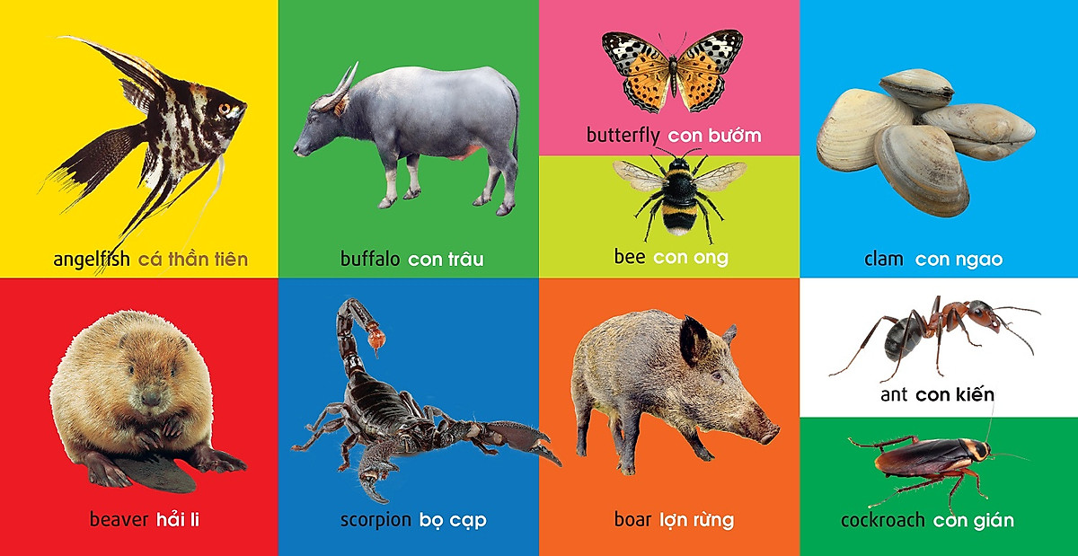 101 First Words - Animals - 101 Từ Đầu Tiên - Động Vật - Bìa Cứng (Tái Bản 2025) - Ảnh 3