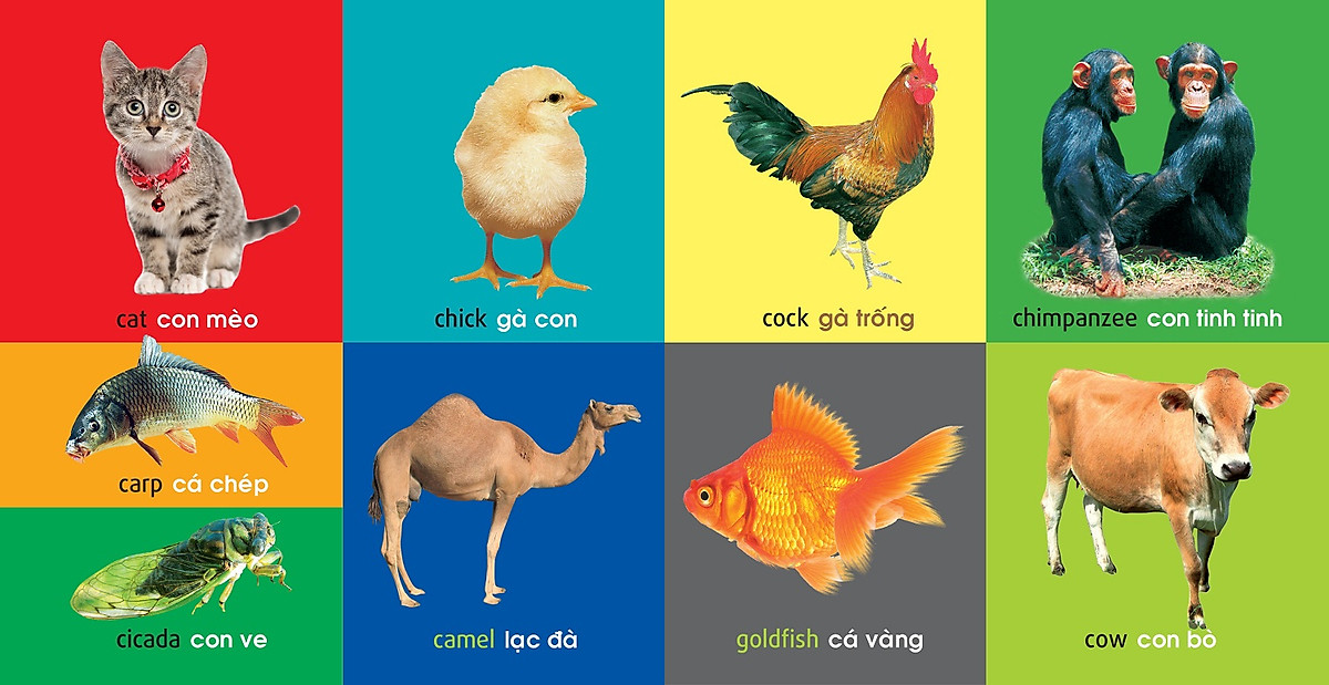 101 First Words - Animals - 101 Từ Đầu Tiên - Động Vật - Bìa Cứng (Tái Bản 2025) - Ảnh 4