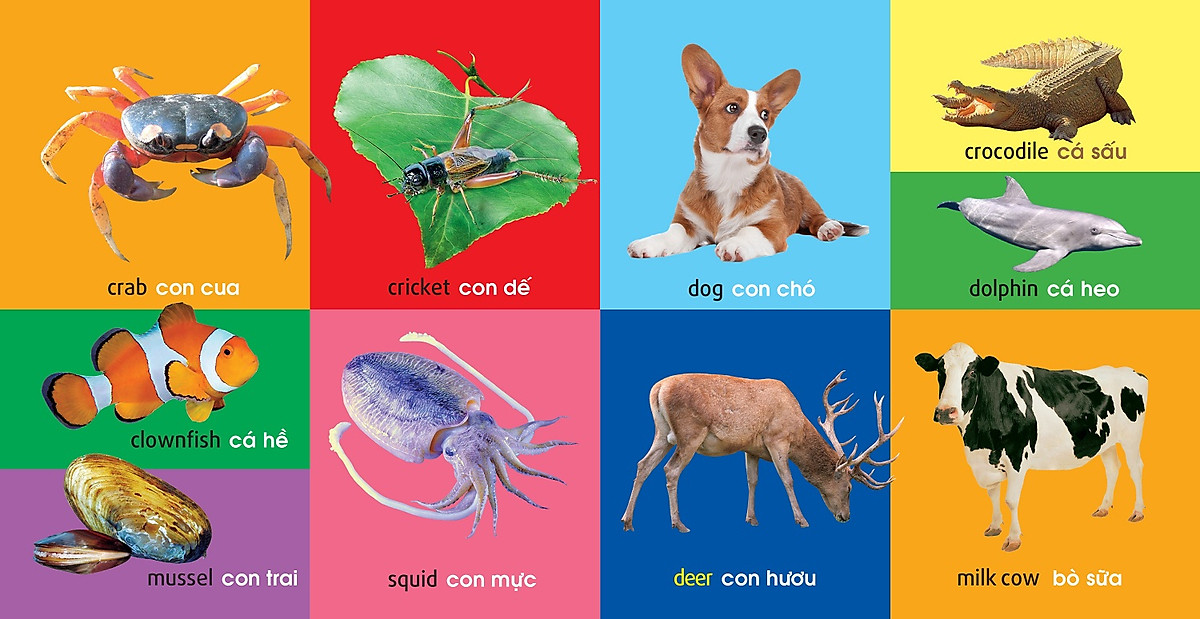 101 First Words - Animals - 101 Từ Đầu Tiên - Động Vật - Bìa Cứng (Tái Bản 2025) - Ảnh 5