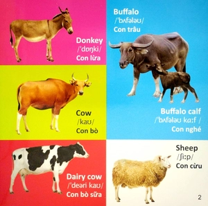 101 first words: animals - 101 từ đầu tiên: động vật (tái bản 2022) - Ảnh 4