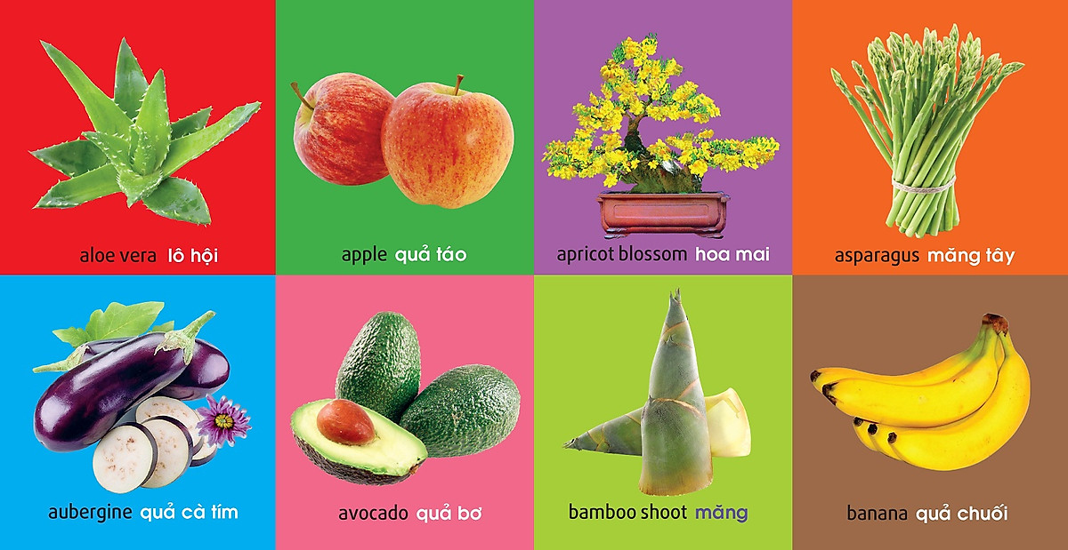 101 First Words - Plants - 101 Từ Đầu Tiên - Thực Vật - Bìa Cứng (Tái Bản 2025) - Ảnh 3