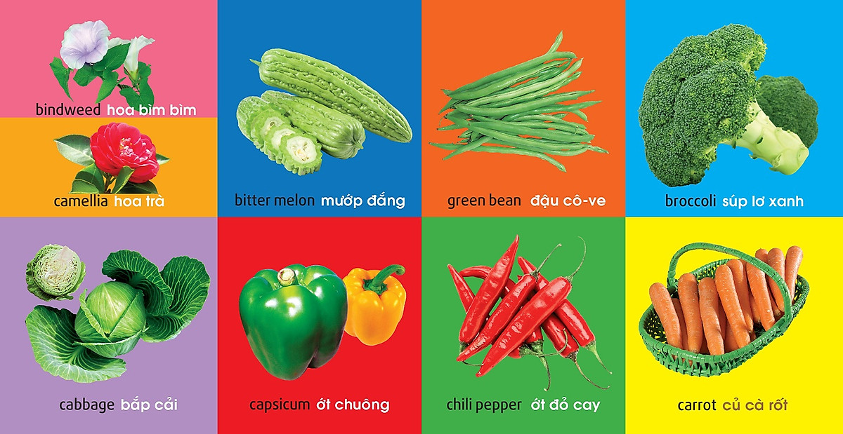 101 First Words - Plants - 101 Từ Đầu Tiên - Thực Vật - Bìa Cứng (Tái Bản 2025) - Ảnh 4