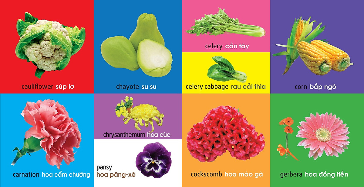 101 First Words - Plants - 101 Từ Đầu Tiên - Thực Vật - Bìa Cứng (Tái Bản 2025) - Ảnh 5