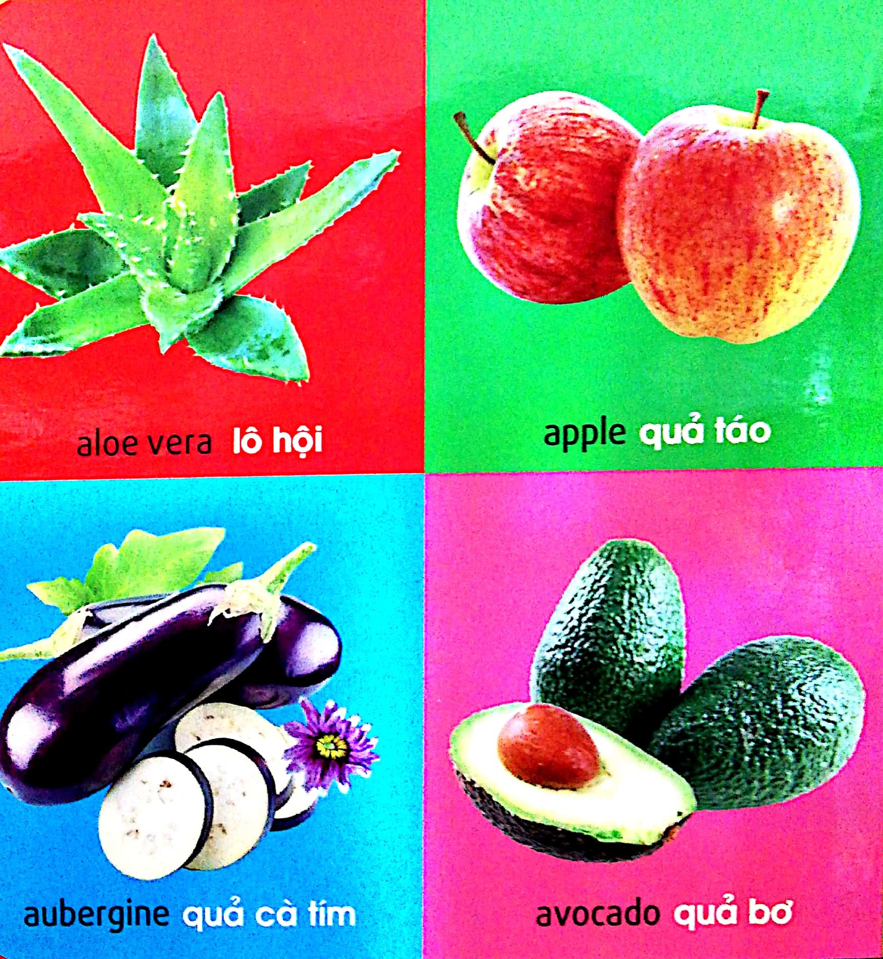 101 First Words - Plants - 101 Từ Đầu Tiên - Thực Vật - Bìa Cứng (Tái Bản 2025) - Ảnh 6