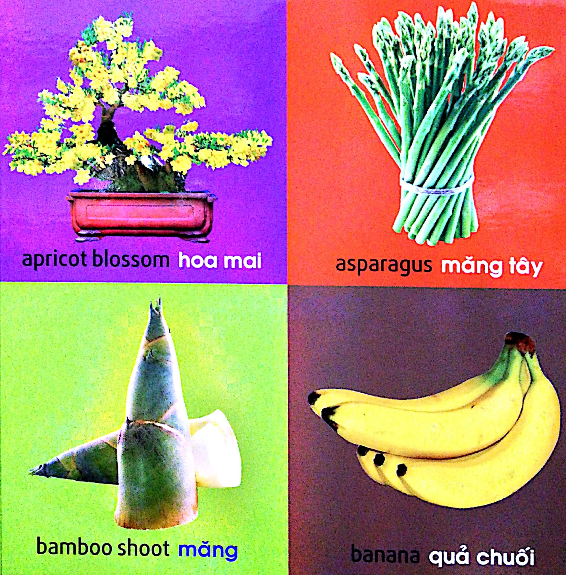 101 First Words - Plants - 101 Từ Đầu Tiên - Thực Vật - Bìa Cứng (Tái Bản 2025) - Ảnh 7