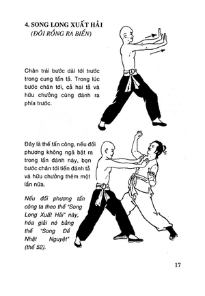 108 thế chiến đấu thiếu lâm chân truyền - tập 1 (tái bản) - Ảnh 11